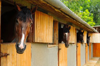 free Cwmfelin Mynach stable construction quotes